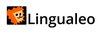 Онлайн-сервисы - LinguaLeo - Образовательная платформа для изучения и практики иностранного языка